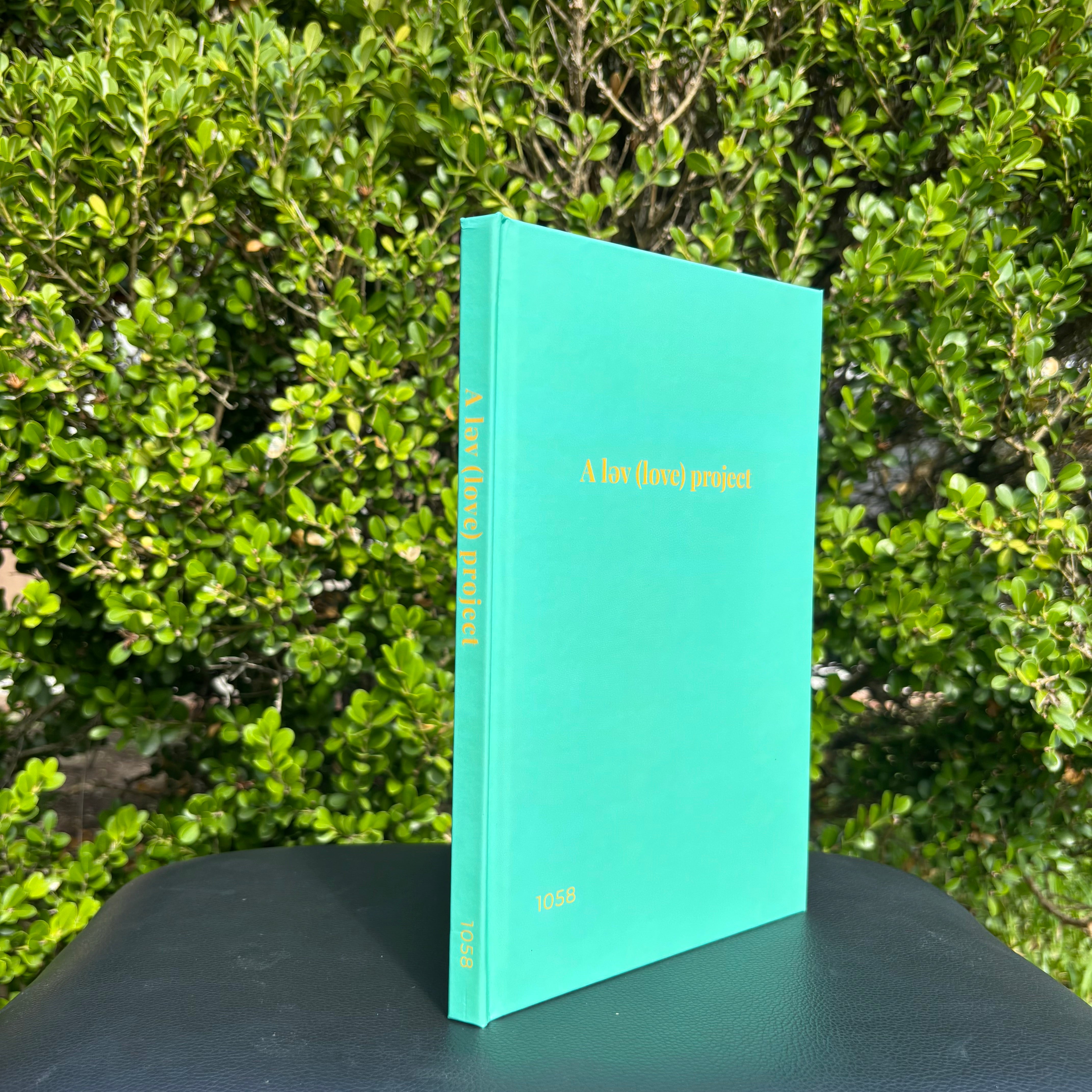 A love project: Workbook One